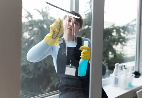 Nettoyage de vitres intérieures et extérieures à Beauregard-l'Évêque